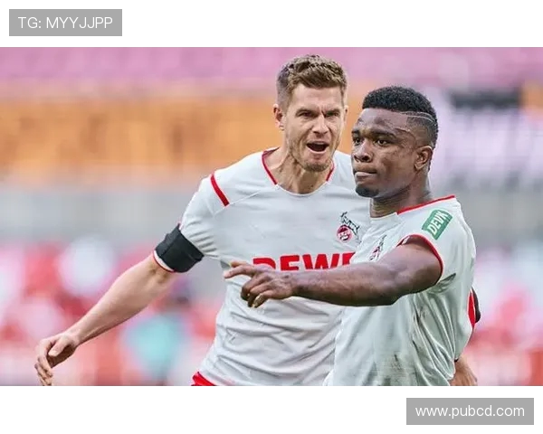 德甲球队科隆内部派系斗争详解与管理结构介绍 德甲球队科隆内部派系斗争详解与管理结构介绍