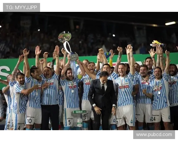 法甲里昂与升班马比赛表现的分析与总结