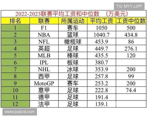英超普通球员薪水水平及生活状况调查