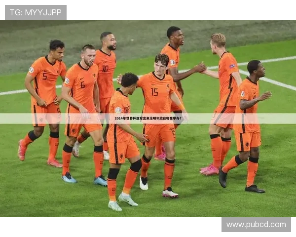 CCTV5世界杯赛事表全景解读与精彩赛程深度指南权威分析前瞻