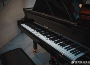 pianoforce自动演奏系统 qrs自动演奏系统
