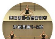 芭蕾舞三级考级动作名称-芭蕾舞三级有哪些