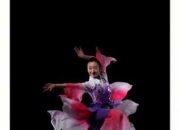 中国有哪些经典舞蹈