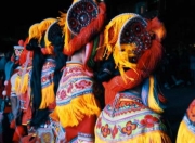 彝族舞蹈动作有哪些-彝族舞有哪些