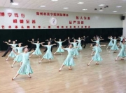河南舞蹈学院有哪些学校-河南舞蹈学院有哪些