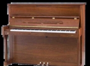 赛乐尔120t钢琴怎么样（赛乐尔120t钢琴怎么样值得买吗）