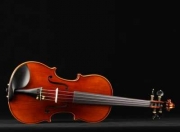 小提琴演奏官网,小提琴官方网站 