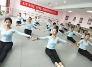 中国的舞蹈学校有哪些（中国有什么舞蹈学校）