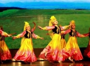 好听的舞蹈维族歌曲-好看的维族舞蹈有哪些
