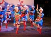 藏族舞蹈脚的基本动作 藏族舞突出了脚的哪些动作