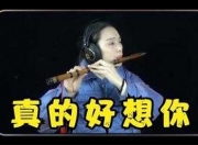 真的好想你笛子视频教学视频-真的好想你笛子演奏家