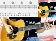 吉他初学演奏视频_吉他初学者视频