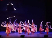藏族舞都有哪些视频,藏族舞蹈大全100首 