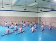 舞蹈艺考有哪些学校