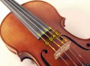 小提琴演奏用什么弦