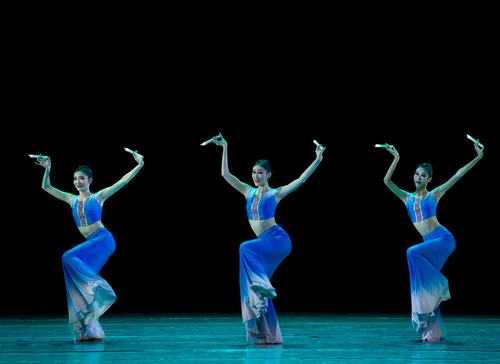 傣族舞蹈基本动作有哪些-傣族舞基本动作有哪些