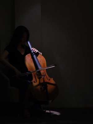 大提琴演奏特色_大提琴独奏的特点