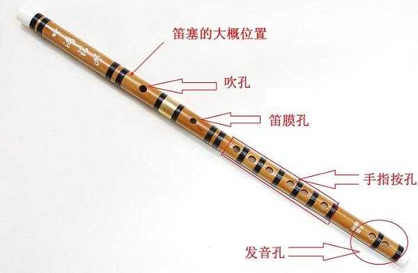  笛子演奏与教学视频下载「笛子演奏教程视频」