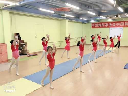 中国舞有哪些考级机构可以练