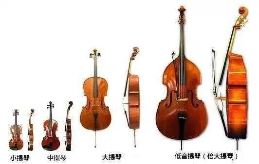 弓弦乐器的演奏法标记,弓弦乐器由哪三部分什么组成 