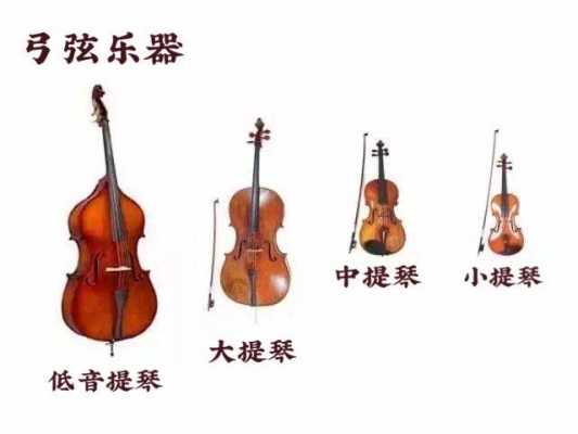 弓弦乐器的演奏法标记,弓弦乐器由哪三部分什么组成 