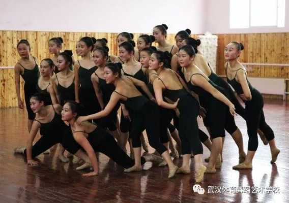 武汉的舞蹈大学有哪些（武汉有什么舞蹈类大学）