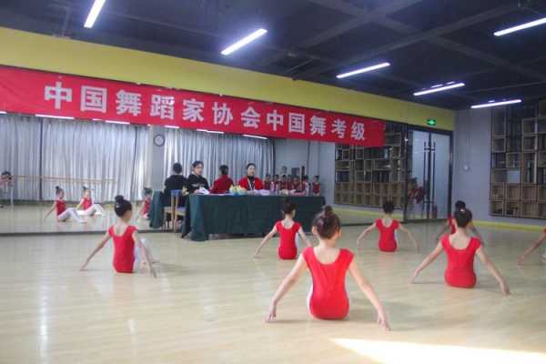 中国舞蹈家协会考级男生能跳吗