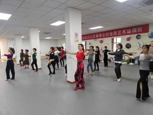 临安的舞蹈学校有哪些大学
