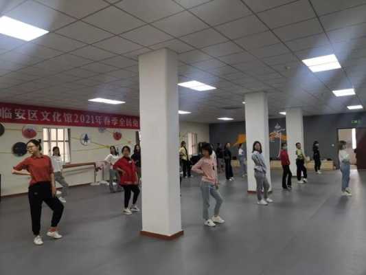 临安的舞蹈学校有哪些大学