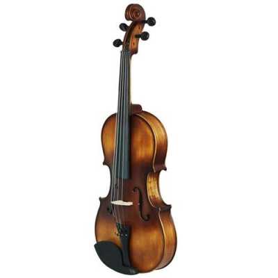  学中音提琴怎么样「学中提琴一般多少钱」