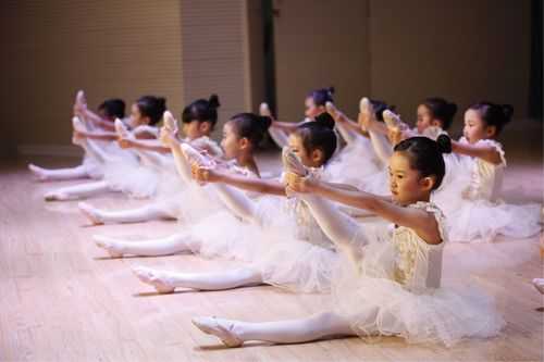 芭蕾包含哪些课程,芭蕾主要学什么 