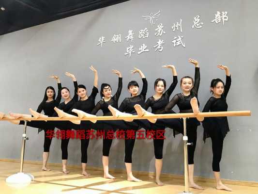 苏州哪个舞蹈学校比较好 苏州哪些学校有古代舞蹈