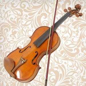  海曲小提琴怎么样「海曲小提琴怎么样好弹吗」