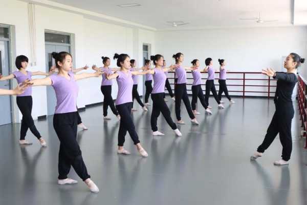 河北省的舞蹈学校有哪些